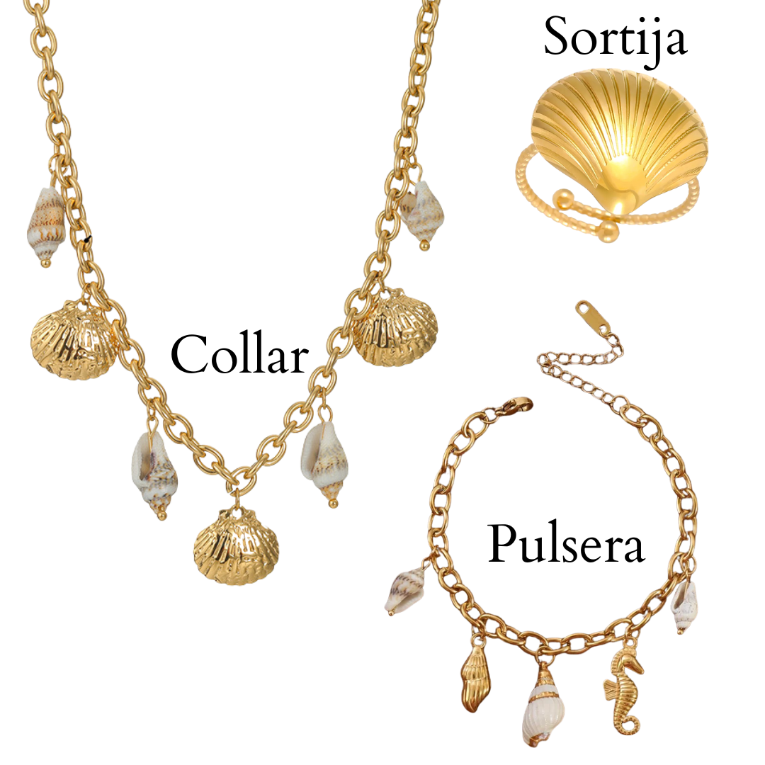 Set Venus Marina