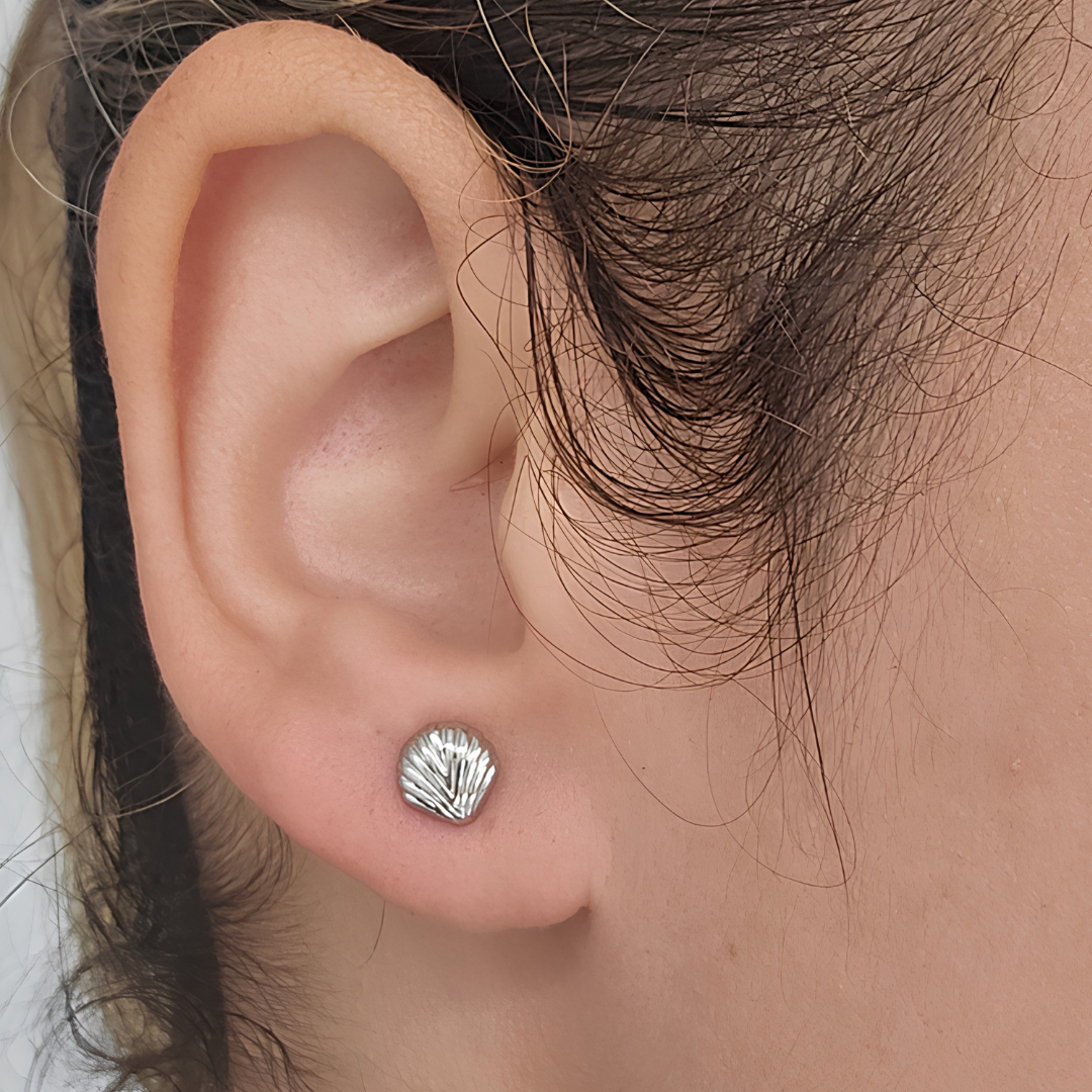 Aretes Concha Marina