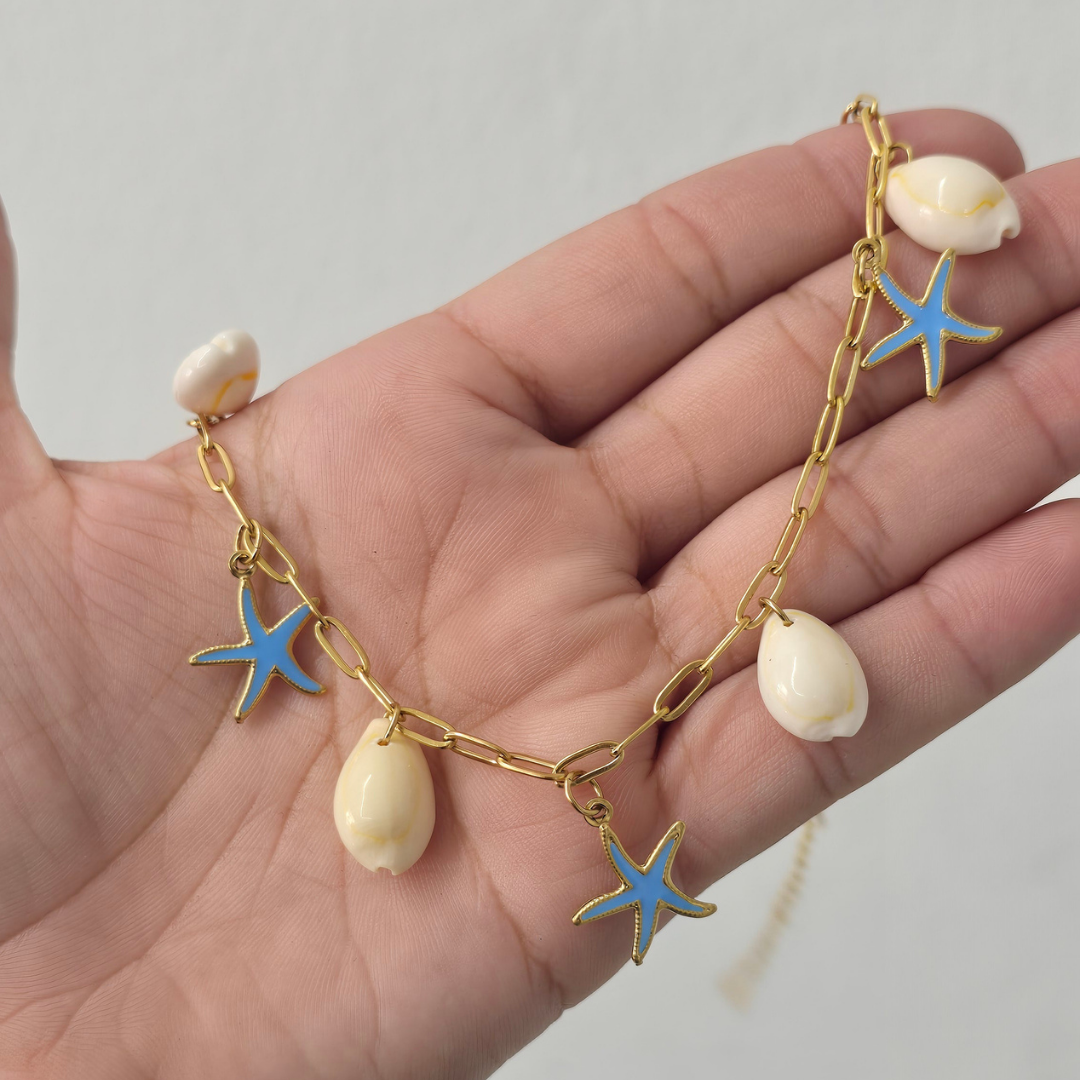 Estrellas de Mar y Conchas