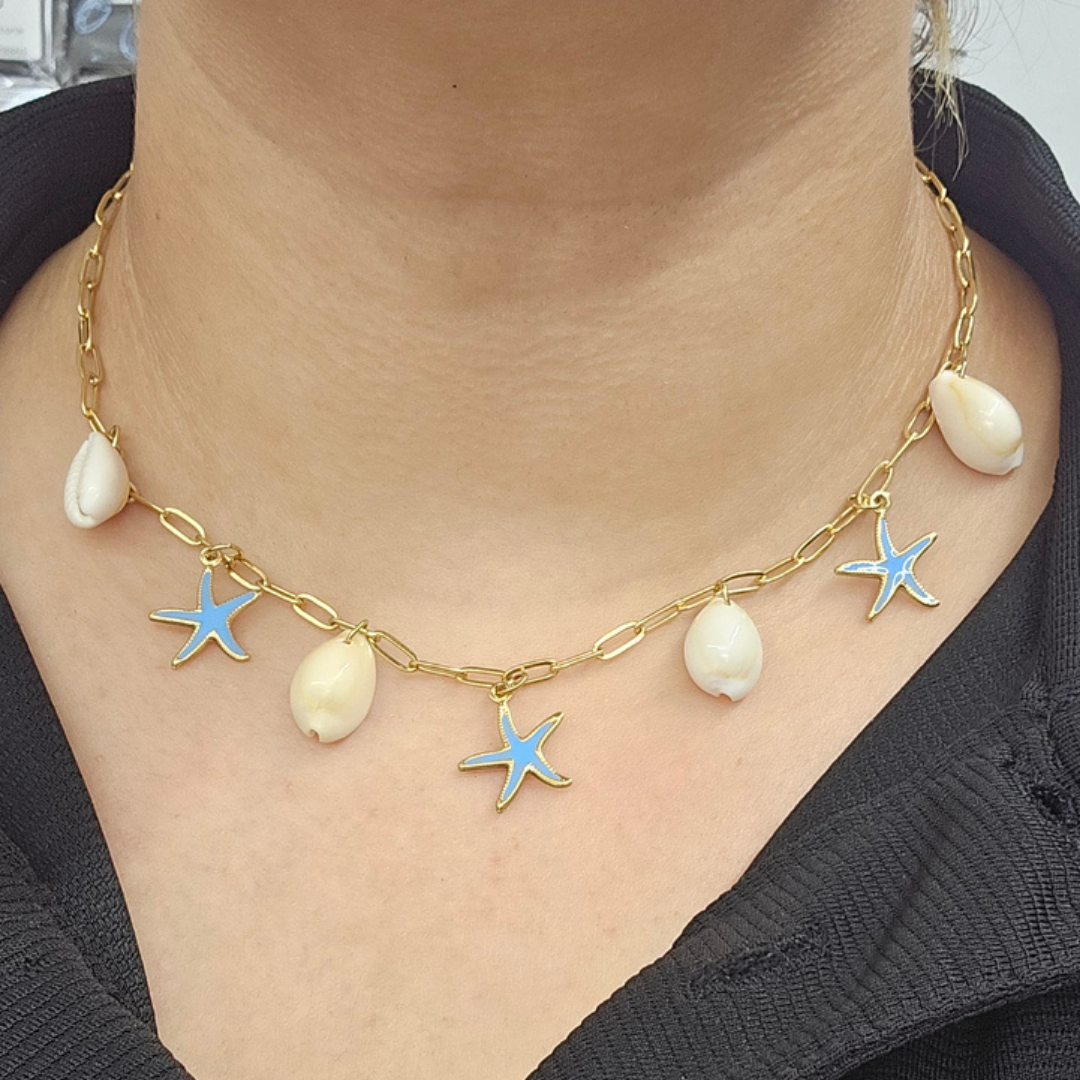 Estrellas de Mar y Conchas