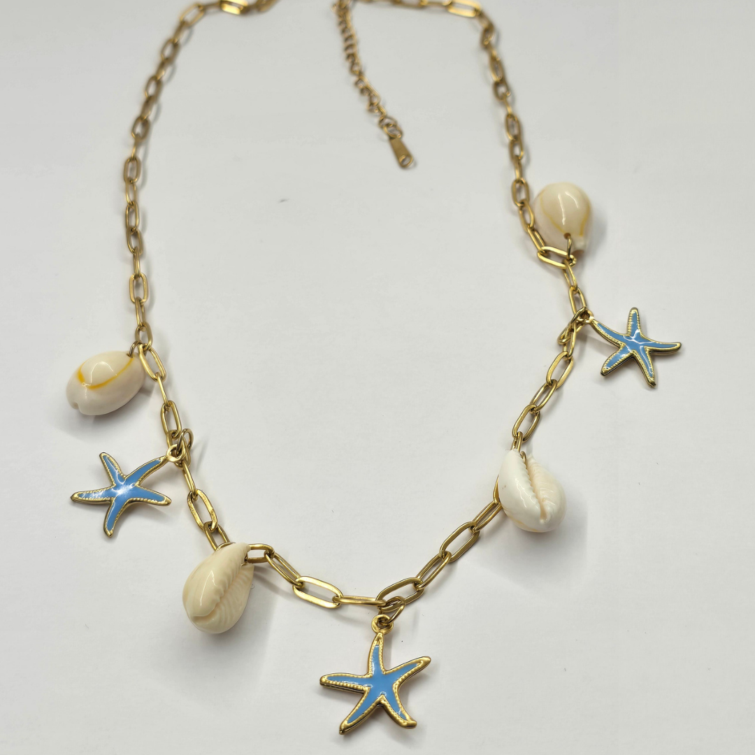 Estrellas de Mar y Conchas