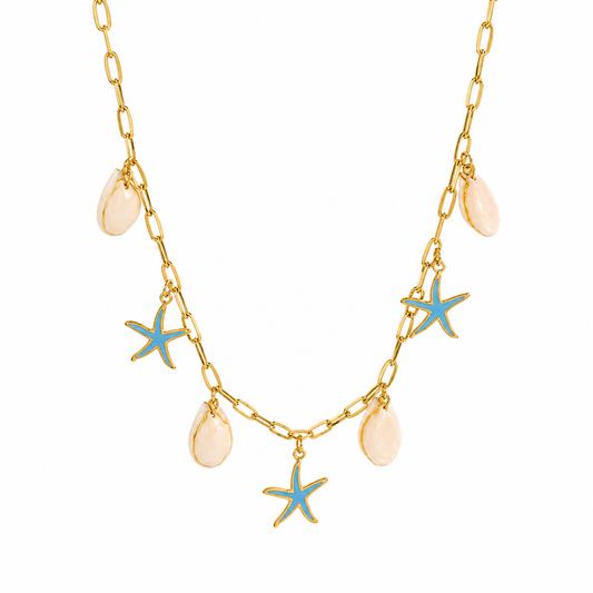 Estrellas de Mar y Conchas